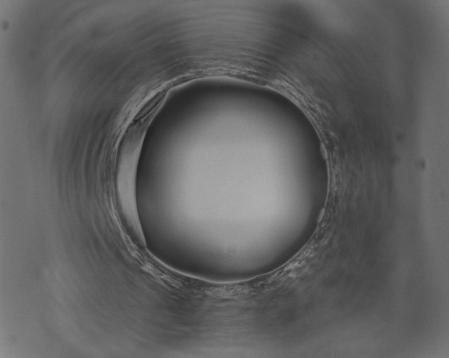 X0000073700241200608171120