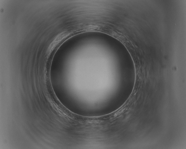 X0000073700242200608171120