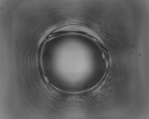 X0000073700244200608171120