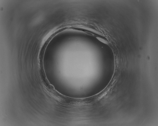 X0000073700246200608171120