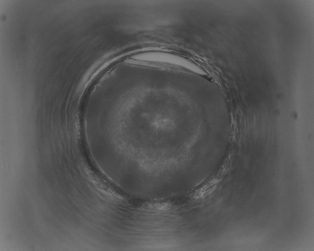 X0000073700247200608171120