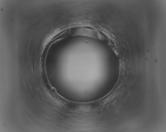 X0000073700248200608171120