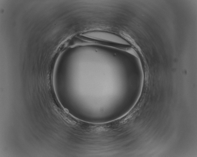 X0000073700249200608171120