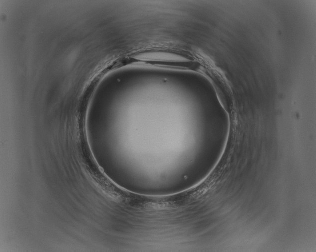 X0000073700250200608171120