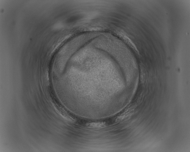 X0000073700251200608171120