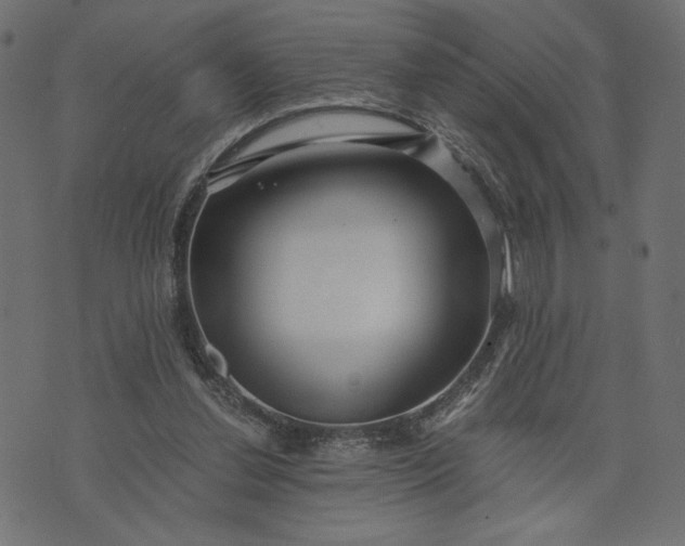 X0000073700252200608171120