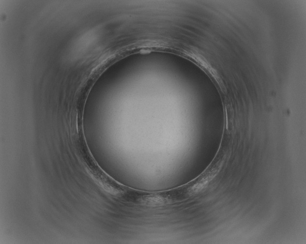 X0000073700253200608171120