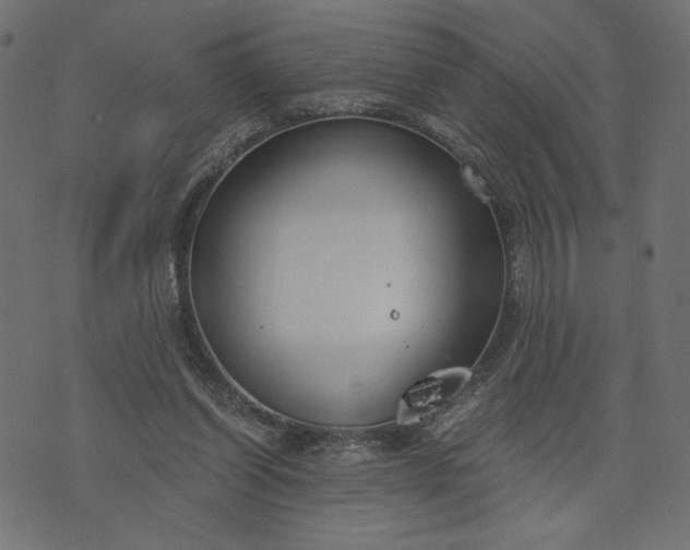 X0000073700254200608171120