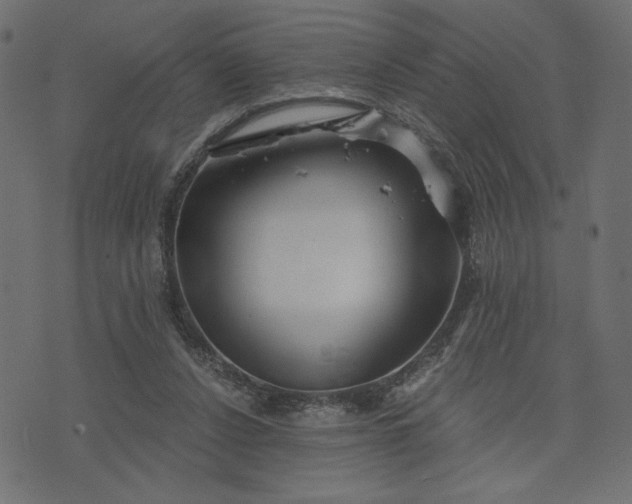 X0000073700256200608171120