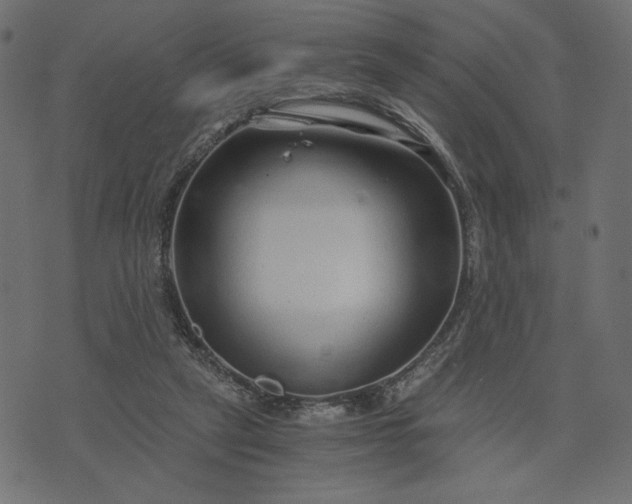 X0000073700257200608171120