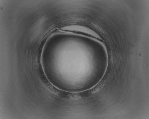 X0000073700258200608171120