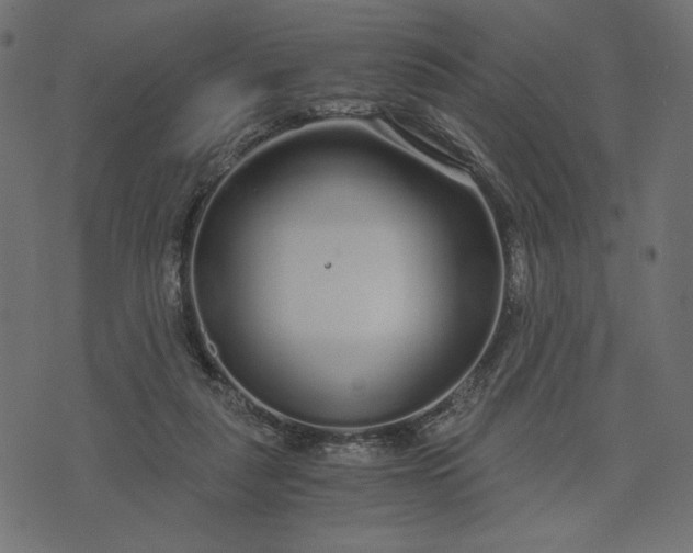 X0000073700259200608171120