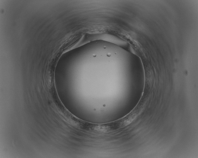 X0000073700261200608171120