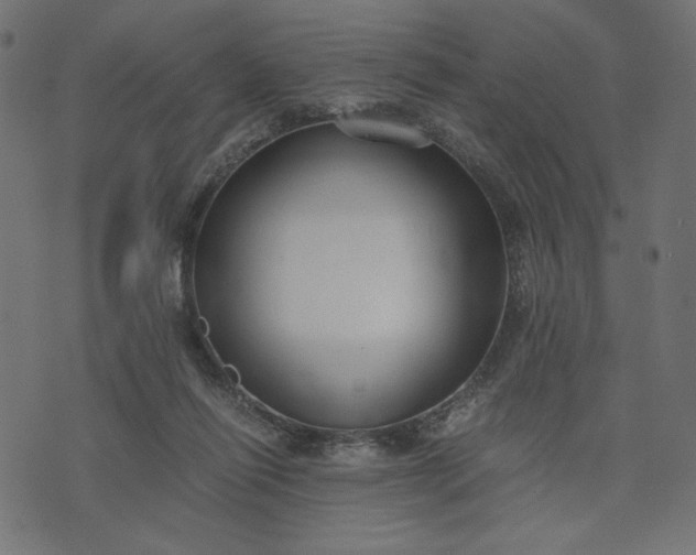 X0000073700262200608171120