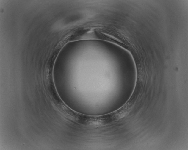 X0000073700263200608171120