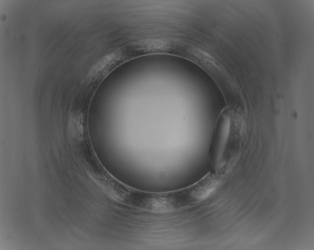 X0000073700264200608171120