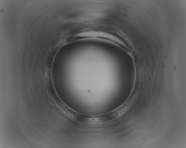 X0000073700265200608171120