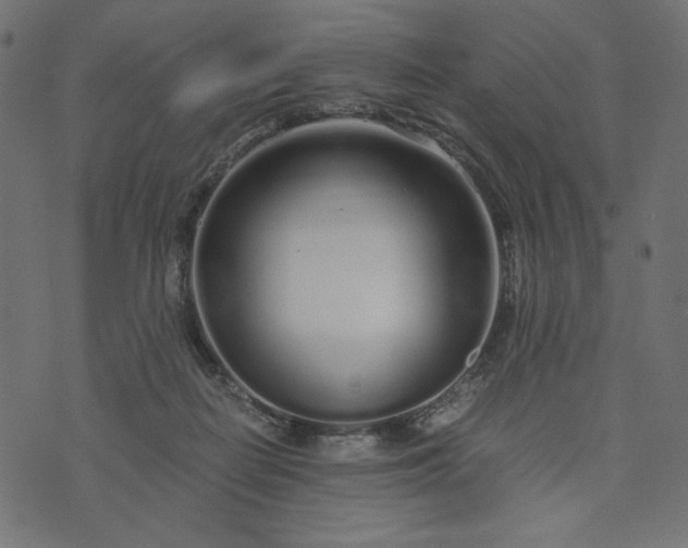 X0000073700266200608171120