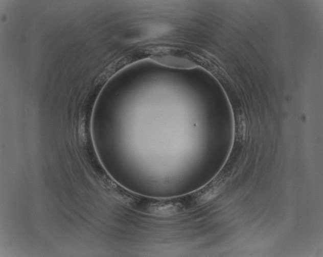 X0000073700267200608171120