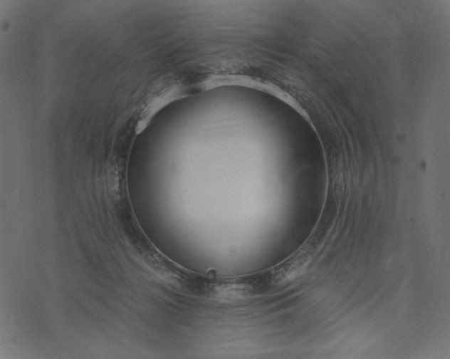 X0000073700268200608171120