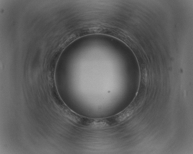 X0000073700270200608171120