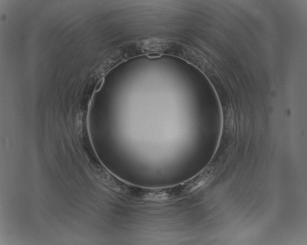 X0000073700271200608171120