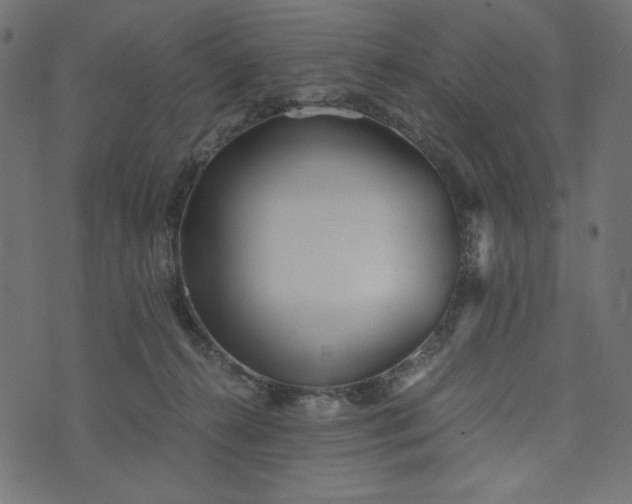 X0000073700272200608171120