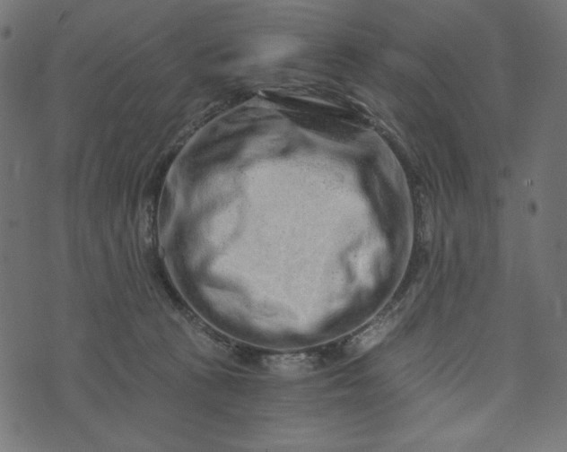 X0000073700273200608171120