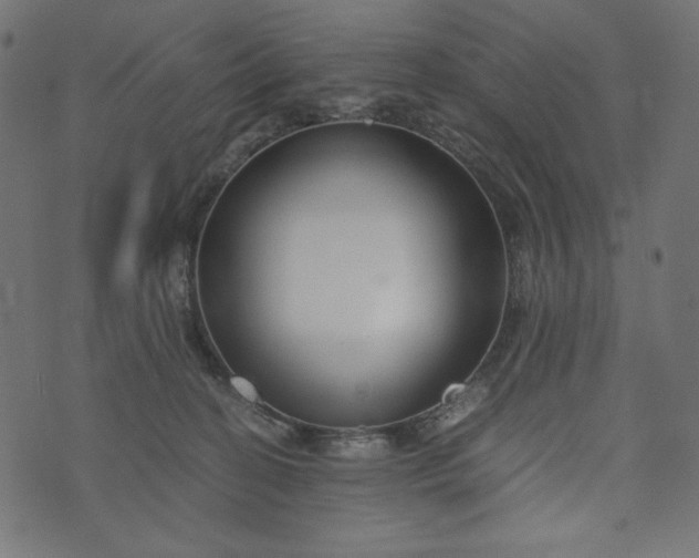 X0000073700274200608171120