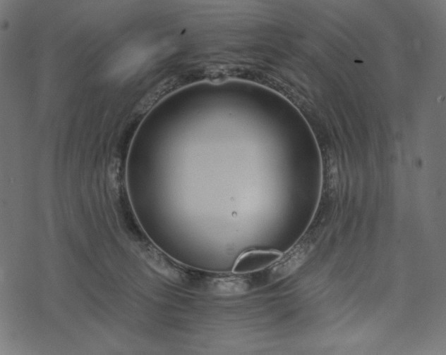 X0000073700275200608171120