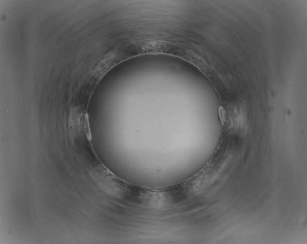 X0000073700276200608171120