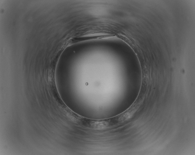 X0000073700277200608171121