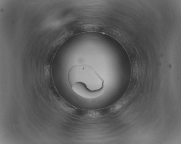 X0000073700278200608171121