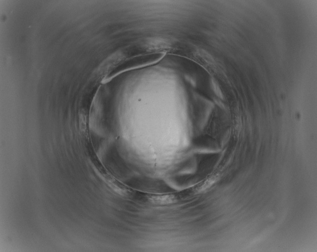 X0000073700281200608171121