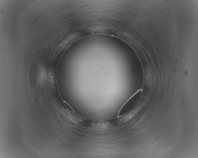 X0000073700282200608171121