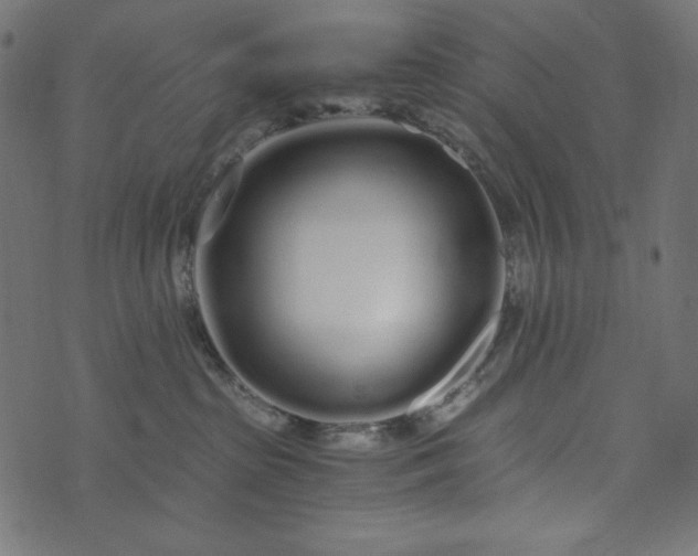 X0000073700285200608171121