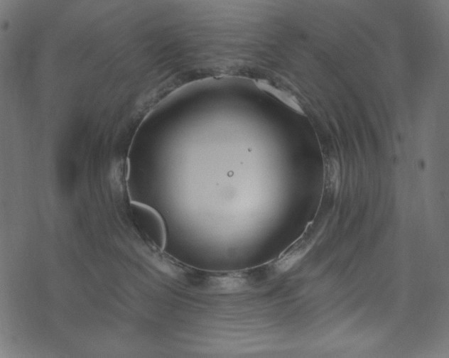 X0000073700286200608171121