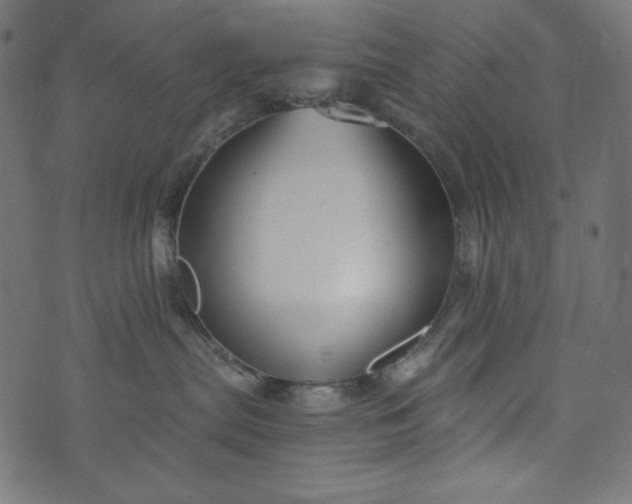 X0000073700287200608171121