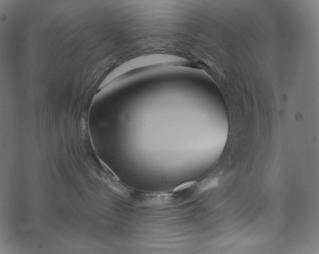 X0000073700288200608171121