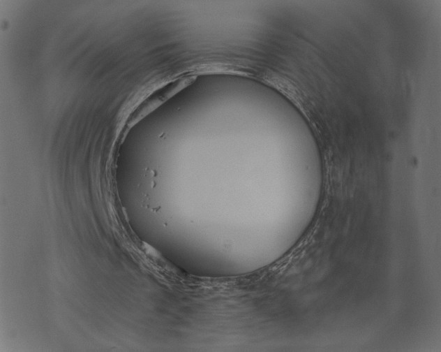 X0000073700289200608171120