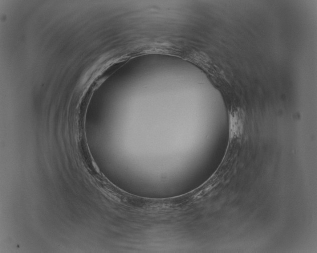 X0000073700291200608171120