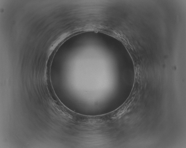 X0000073700292200608171120