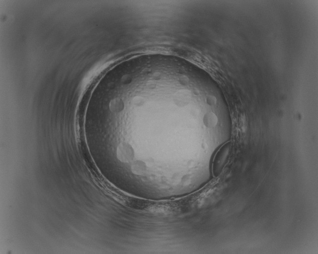 X0000073700294200608171120