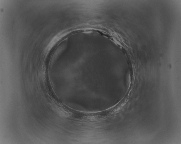 X0000073700295200608171120