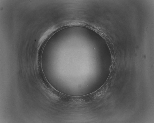 X0000073700296200608171120