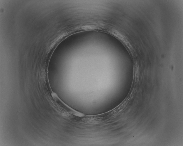 X0000073700297200608171120