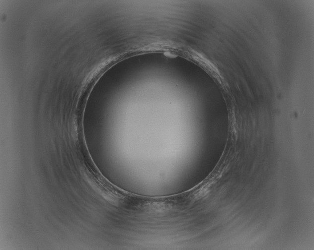 X0000073700298200608171120