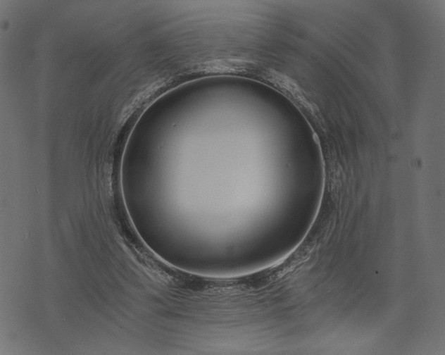 X0000073700299200608171120