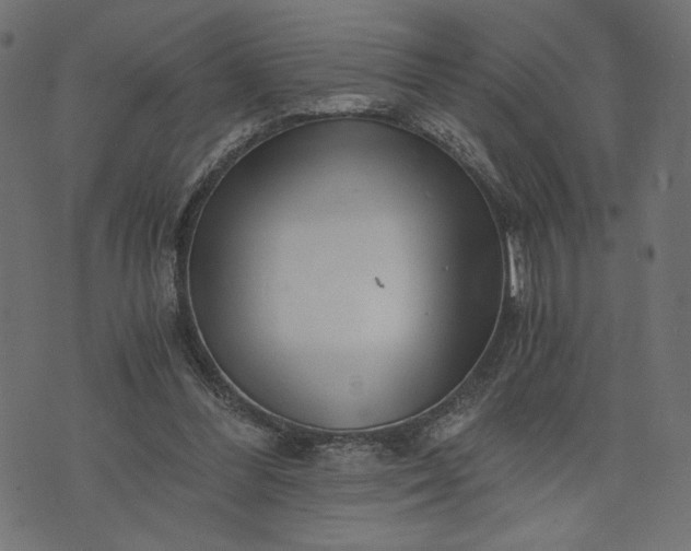 X0000073700300200608171120