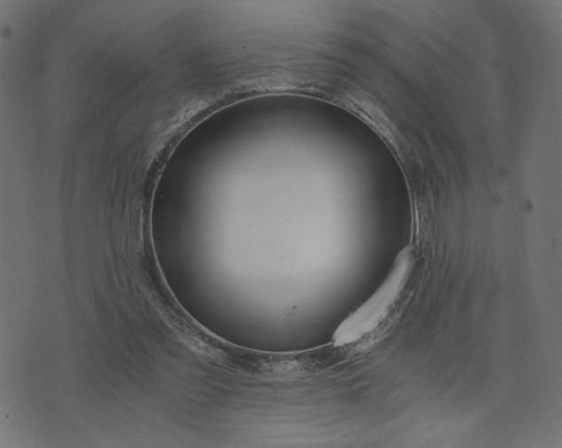 X0000073700301200608171120